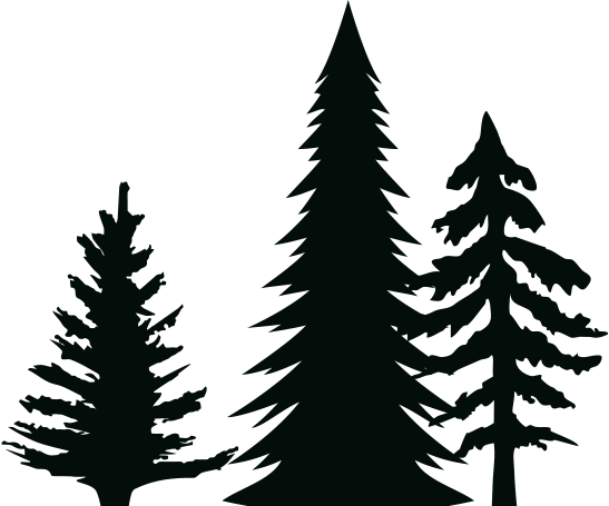 alberi grafica