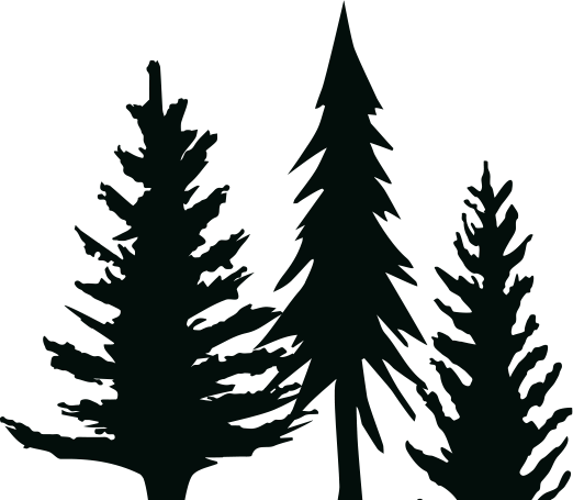 alberi grafica