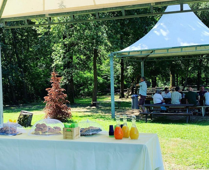 Meeting aziendali al Parco Avventura