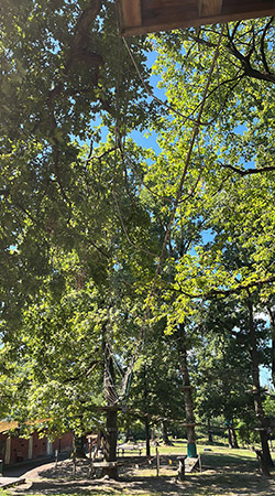 Percorsi Junior Verde Blu