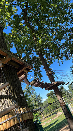 Percorsi Junior Verde Blu