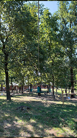 Percorso Medium junior