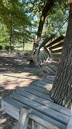 Percorso Mini junior