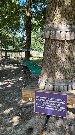 Percorso Mini junior